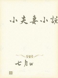 小夫妻小说