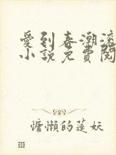 爱到春潮滚滚来小说免费阅读