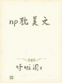 np耽美文