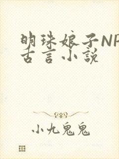 明珠娘子NPC古言小说