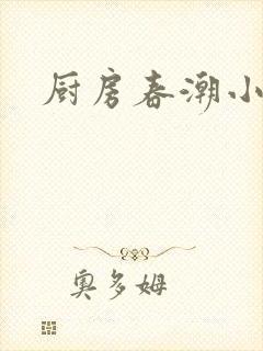 厨房春潮小说