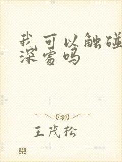 我可以触碰你的深处吗封面