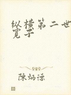 纵横第二世界 宽子