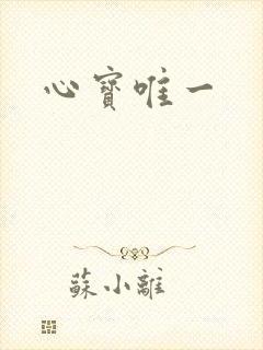 心宝唯一