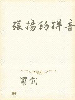 张扬的拼音封面