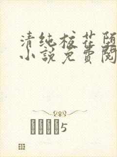清纯校花堕落记小说免费阅读