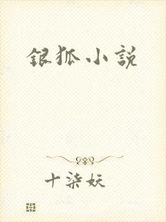 银狐小说封面