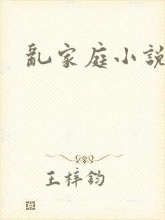 乱家庭小说