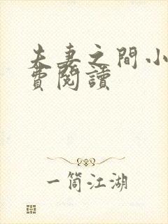 夫妻之间小说免费阅读