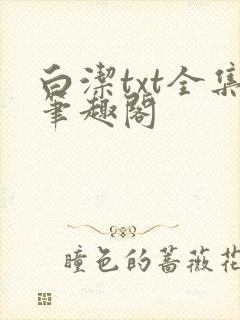 白洁txt全集笔趣阁