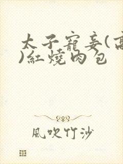 太子宠妾(高肉)红烧肉包封面