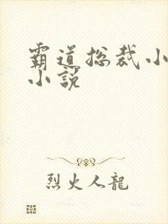 霸道总裁小娇妻小说