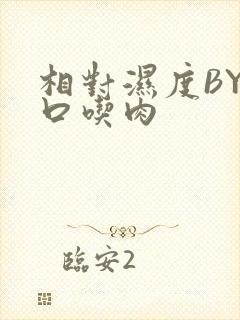 相对湿度BY大口吃肉