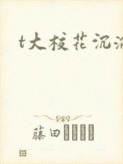 t大校花沉沦