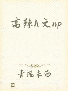 高辣h文np