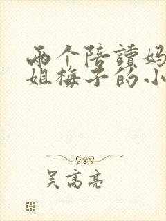 两个陪读妈妈赵姐梅子的小说