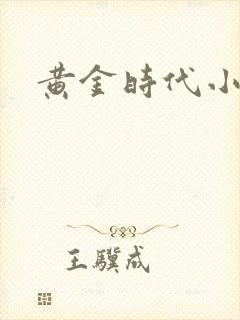 黄金时代小说封面