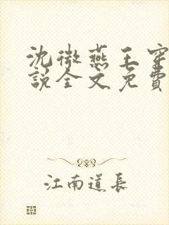 沈微燕王穿越小说全文免费阅读