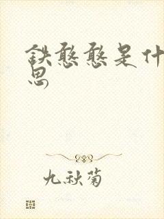 铁憨憨是什么意思
