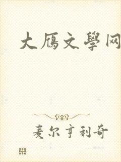 大雁文学网