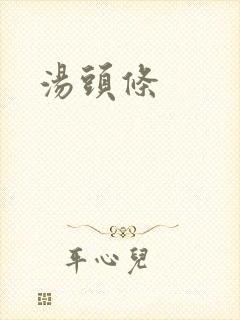汤头条