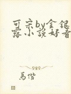 可宋by金银花露小说好看吗封面