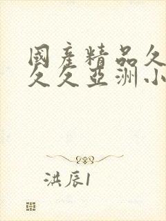 国产精品久久久久久亚洲小说