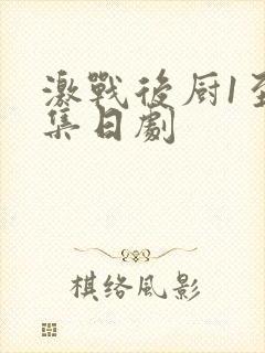激战后厨1至5集日剧封面