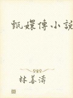 甄嬛传小说