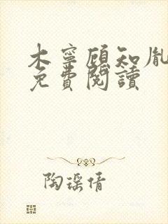 木宁顾知胤小说免费阅读