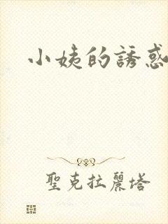 小姨的诱惑小说封面