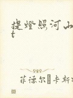 提灯照河山txt