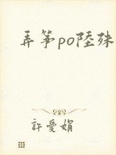 弄筝po陆殊词封面