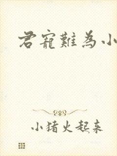 君宠难为小说