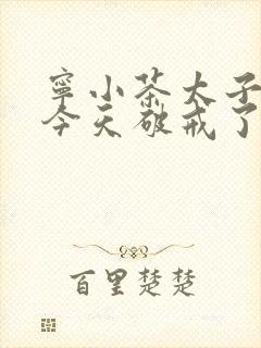 宁小茶太子殿下今天破戒了吗免费阅读