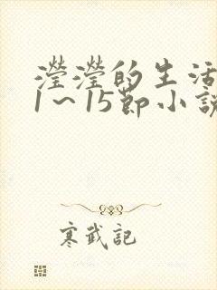 滢滢的生活日记1～15节小说封面