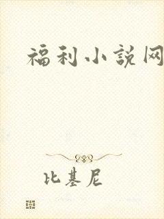 福利小说网