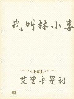 我叫林小喜17