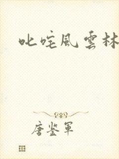叱咤风云林云封面