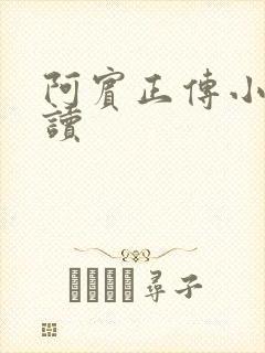 阿宾正传小说在读