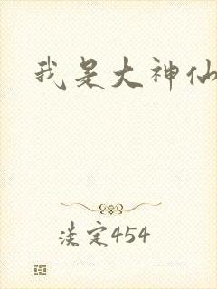 我是大神仙小说封面