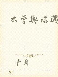 不曾与你遇见
