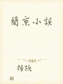兰京小说封面