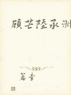 顾芒陆承洲封面