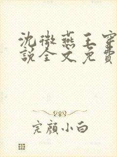 沈微燕王穿越小说全文免费阅读