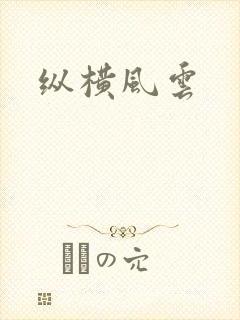 纵横风云