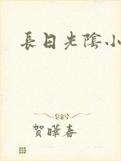 长日光阴小说