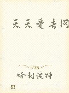 天天爱去网