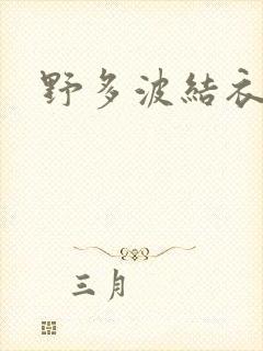 野多波结衣