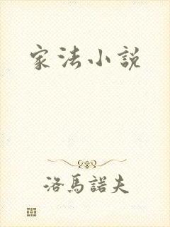 家法小说